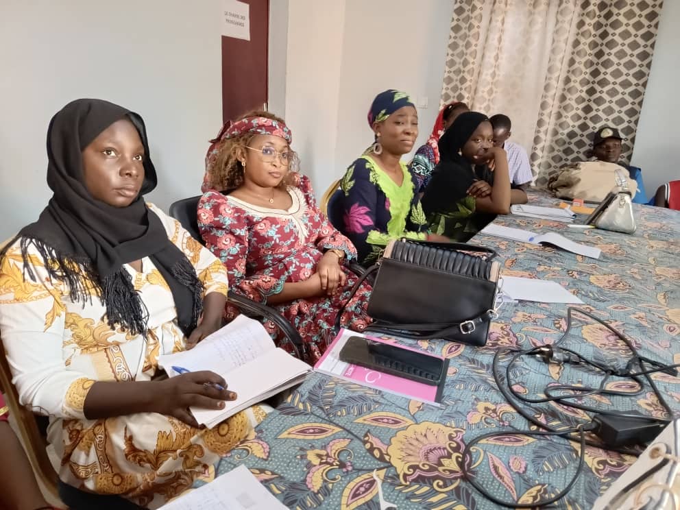 Atelier de formation des membres d’AJEUDEP et autres acteurs de la société civile sur le PSEA - Photo 6