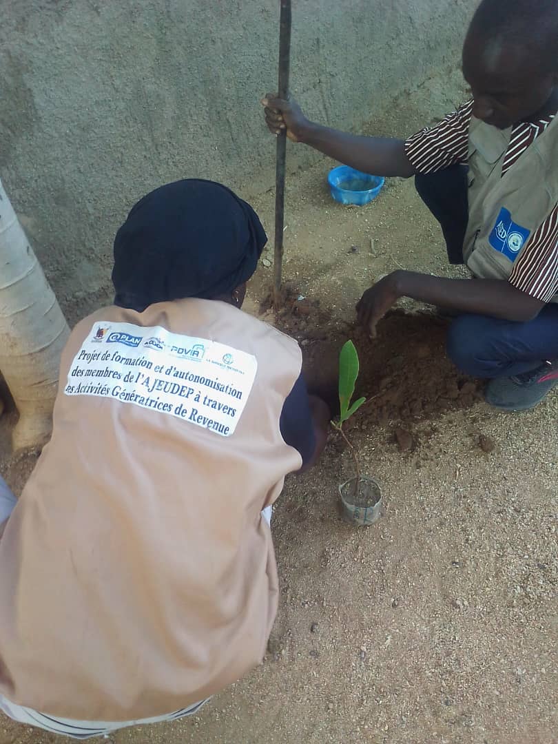 Activité de reboisement arbre de paix dans la région de l’Extrême-Nord plus précisément dans le quartier Louggéo - Photo 1