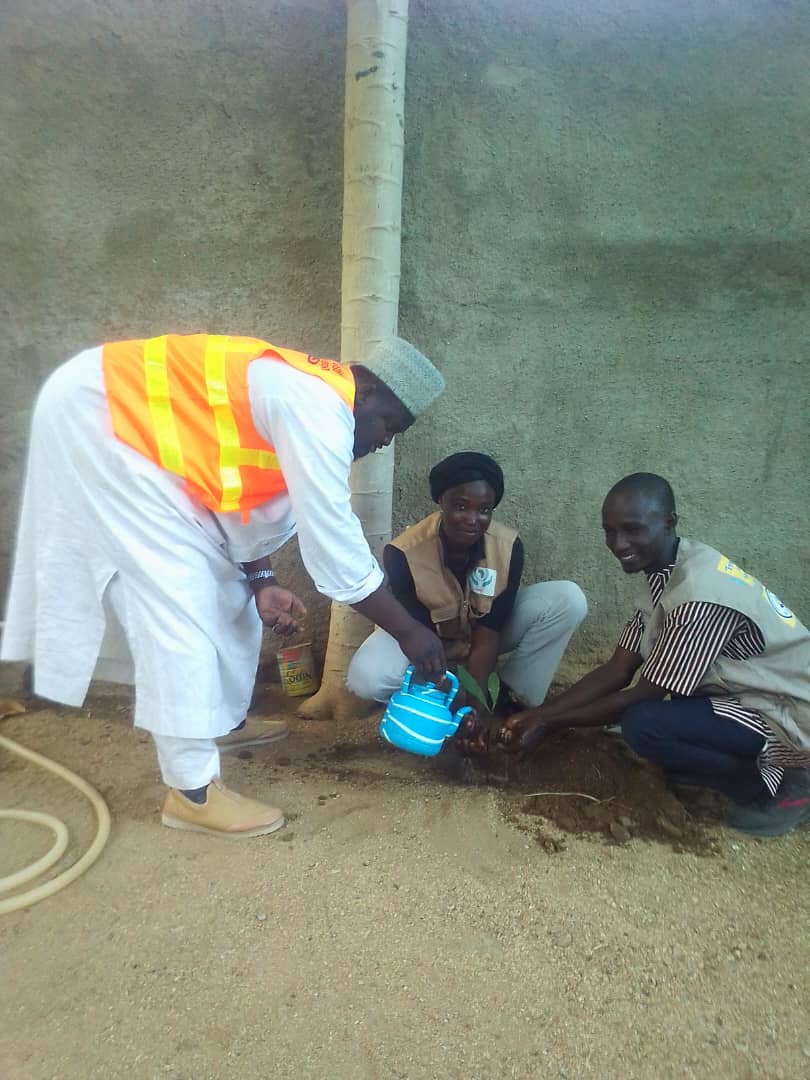 Activité de reboisement arbre de paix dans la région de l’Extrême-Nord plus précisément dans le quartier Louggéo - Photo 3