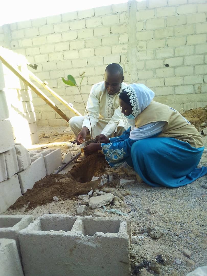 Activité de reboisement arbre de paix dans la région de l’Extrême-Nord plus précisément dans le quartier Louggéo - Photo 4